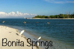 Homes for sale in Bonita Springs, Florida