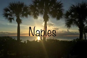 Homes for sale in Naples, Florida